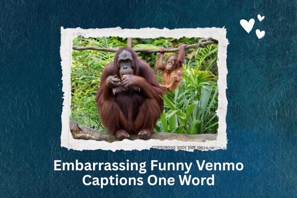 Embarrassing Funny Venmo Captions One Word