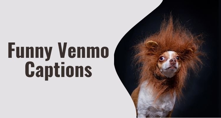 Funny Venmo Captions