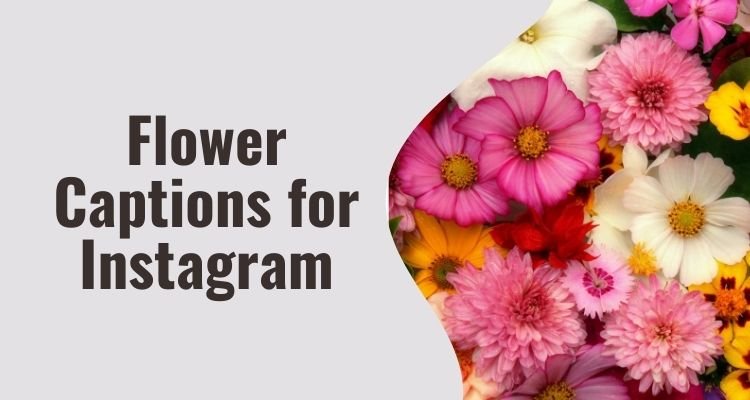 Flower Captions for Instagram
