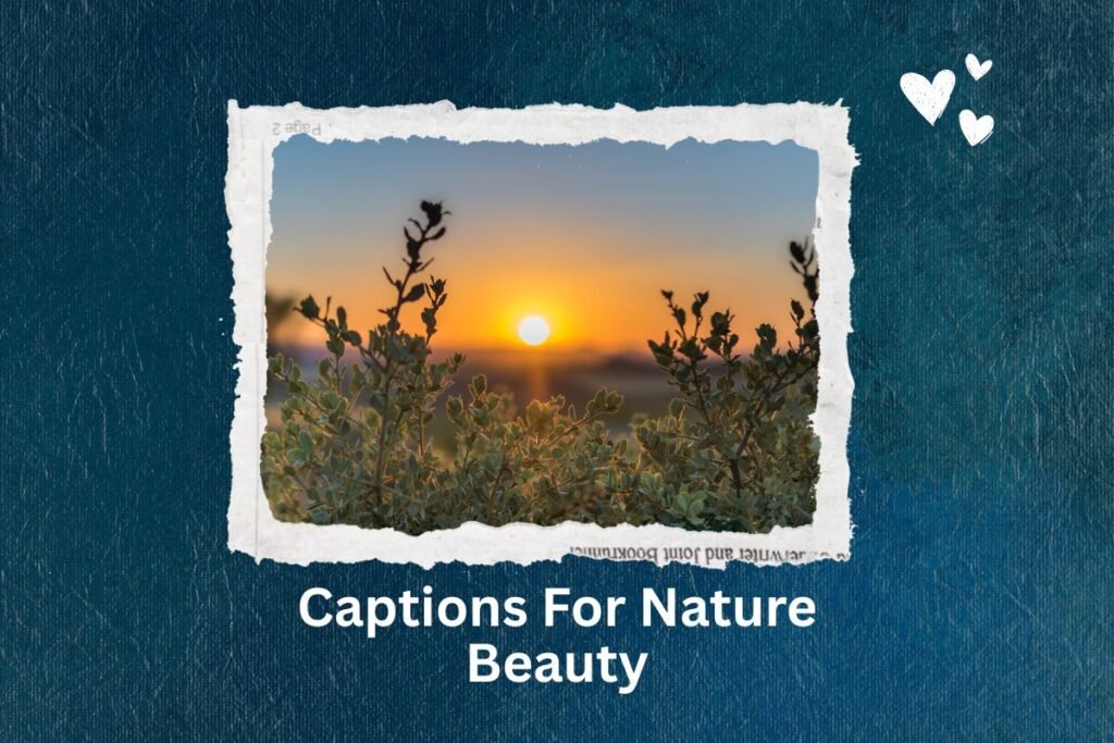 Captions For Nature Beauty