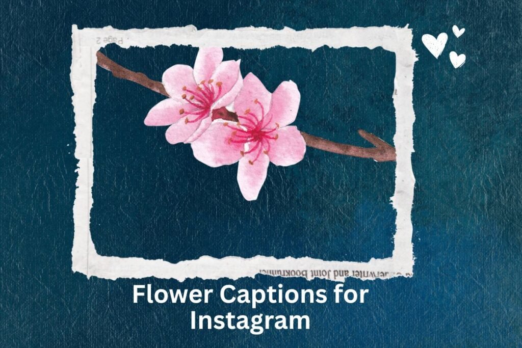 Flower Captions for Instagram