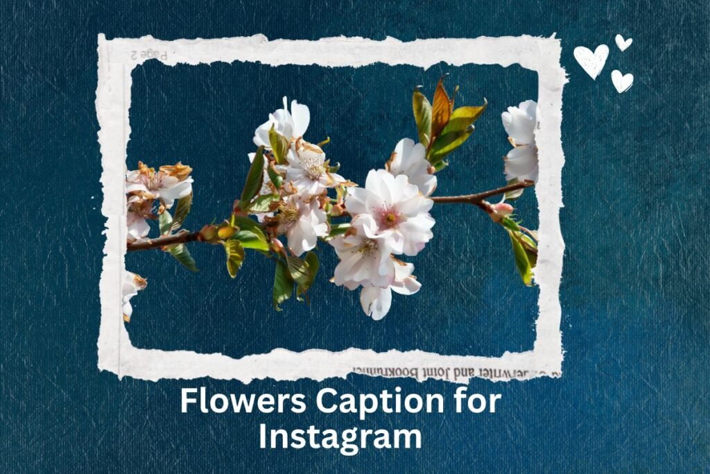 Flowers Caption for Instagram