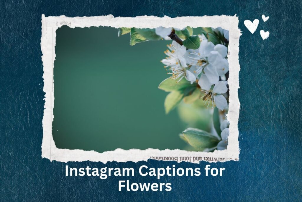 Instagram Captions for Flowers