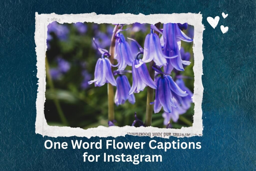 One Word Flower Captions for Instagram