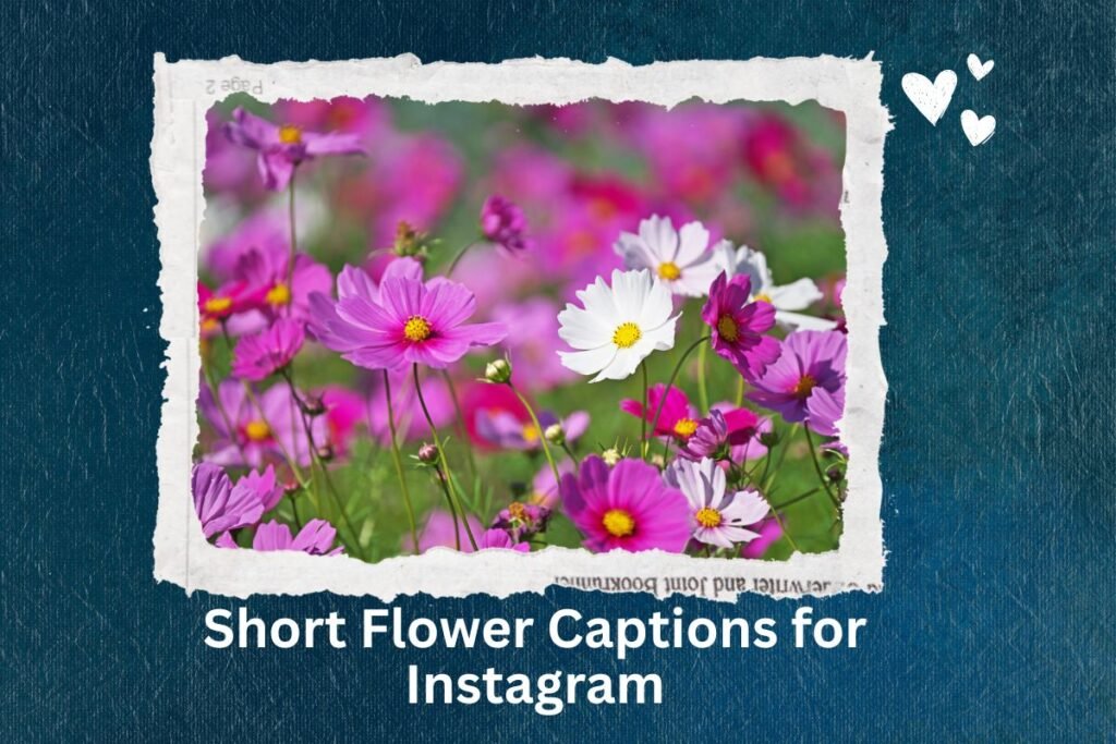 Short Flower Captions for Instagram